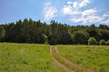 road in the field
