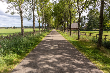 Fototapeta na wymiar Traditional Dutch country lane between Eerbeek and Loenen, with farms and fields. Originally a swampy area, still reflected in street names ending with dijk (dike)
