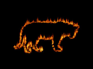 Fire beast © chrismo63