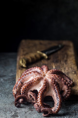 Boiled fresh octopus ready for serve over vintage dark background