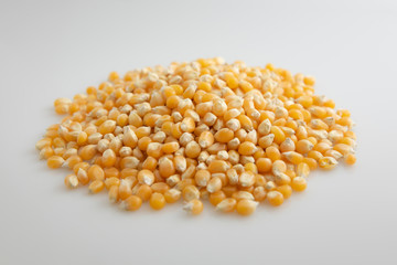Close-up of pile of sweet corn seed on white background