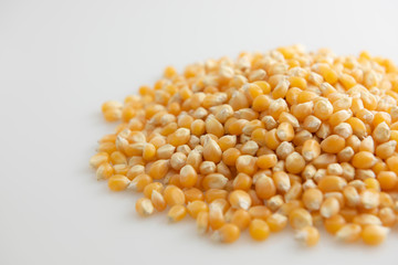 Close-up of pile of sweet corn seed on white background