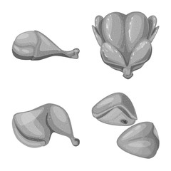 Isolated object of cuisine and bird icon. Set of cuisine and poultry stock symbol for web.