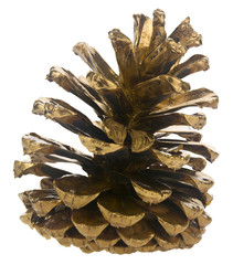 Golden bump isolated on a white background.