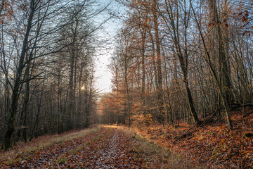 spätherbst im sauerland