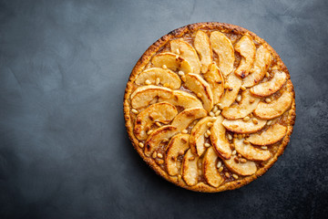 Homemade delicious fresh baked rustic apple pie on dark background, top view