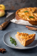 Slice of homemade delicious fresh baked Rustic Apple Pie on gray backgrounf