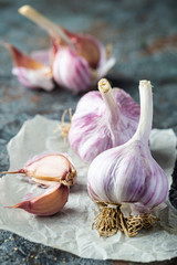 Organic garlic bulbs with garlic cloves on paper over gray stone background