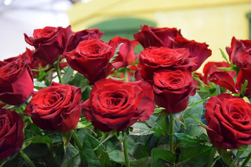bouquet of red roses