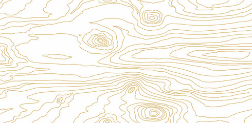 Seamless wooden pattern. Wood grain texture. Dense lines. Abstract white background. Vector illustration - obrazy, fototapety, plakaty