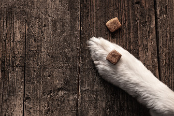 Kibble or dog food goodies lying on a paw on wooden table, training and upbringing - obrazy, fototapety, plakaty