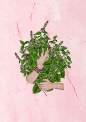 mięta, zakochanie, dłonie, ręce © Agata