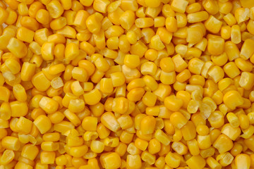 yellow canned corn as background