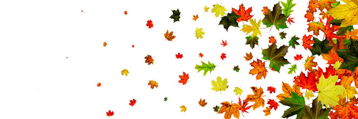 Naklejka na ściany i meble Autumn leaves wind. November falling pattern background. Season concept
