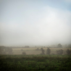 Early Morning Misty Landscape