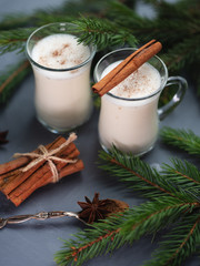 Eggnog with cinnamon and alcohol for winter holidays . Traditional Christmas drink