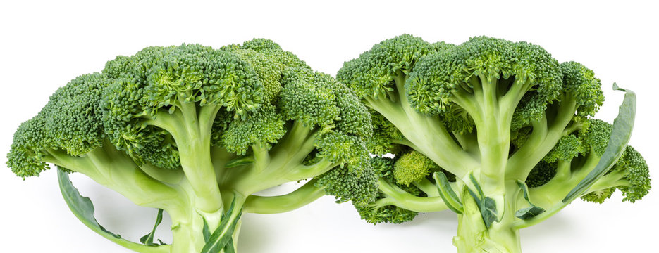 Two whole fresh broccoli on a white background close-up