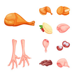 Vector illustration of meat and raw icon. Set of meat and grilled stock symbol for web.