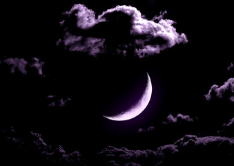 Obraz na płótnie Canvas The moon in the night sky
