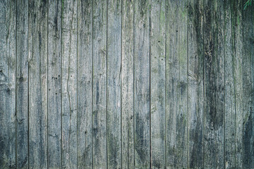 Fototapeta na wymiar Weathered blue and green colored wooden planks for texture or background, low contrast effect