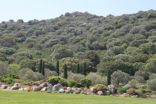 Parc de Saleccia