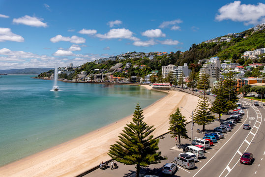 Wellington's Oriental Bay on a clear spring day