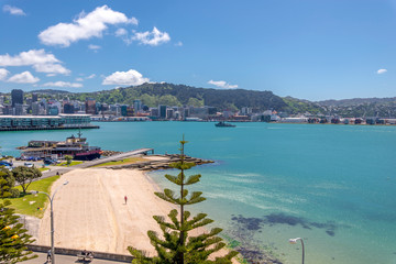 Wellington's harbour on a clear spring day
