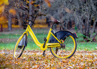 Fototapeta premium Bike for Bicycle-sharing is in the city Park