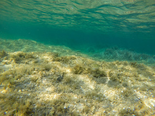 Fototapeta na wymiar Turquoise water in Minorca island Balearics Spain Underwater image