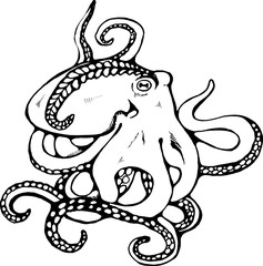 Illustration of octopus with plant. Idea for a tattoos.