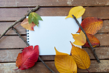 カラフルな秋の葉と白紙のノート