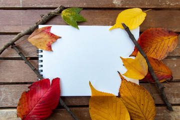 Fototapeta na wymiar カラフルな秋の葉と白紙のノート