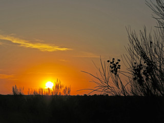 Naklejka premium A stunning sunrise view in Uluru-Kata Tjuta National Park, which is a world famous tour attraction.