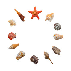 Round composition or set with 12 elements of different types sea shells and starfish isolated on white background, top view, clock dial concept