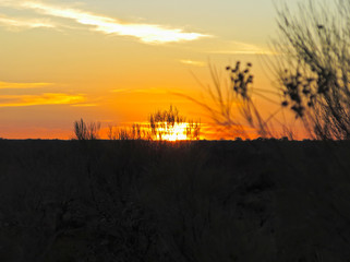 A stunning sunrise view in Uluru-Kata Tjuta National Park, which is a world famous tour attraction.