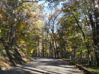 Fototapeta na wymiar Colorful trees line a winding road in Arkansas in autumn.