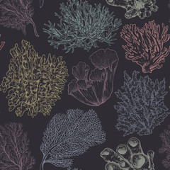 Vector seamless pattern with hand drawn ocean plants and coral reef elements in sketch style. © natality