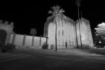 Alcazar by night in Jerez de la Frontera Cadiz province Spain