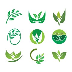Green leaf logo