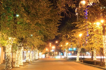 Christmas decorations on the street night Varna (Bulgaria)
