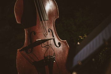 Musical instrument double bass in nature. Sunny day.  © Jnis