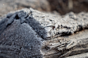 A fallen tree with a beautiful texture, covered with ice - small crystals of ice