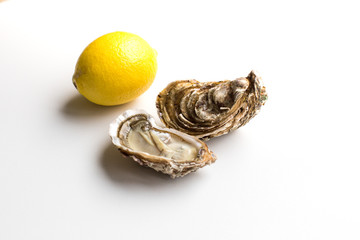 huitre de marennes oléron pour repas de famille durant les fetes de fin d'année 