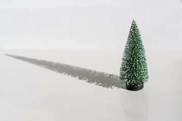 Small green christmas tree with long shadow on white background.