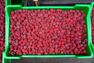Fresh raspberries at a farmers market