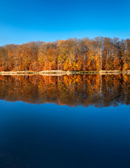 Stiller See im Müritz-Nationalpark, Herbst, bunter Wald spiegelt sich, blauer Himmel