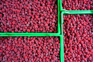 Fresh raspberries at a farmers market
