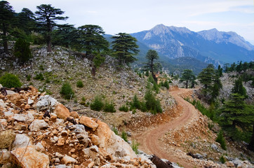 Windy dirt road in the mountains. Hiking on Lycian Way in Taurus Mountains in Turkey.
