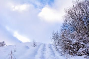 Snow-covered winter road climbs uphill. The track is covered with snow. Branches of a bushy Bush in the snow.