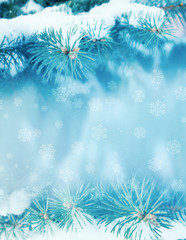 Fototapeta na wymiar Winter christmas background with copy space, bokeh, snowflakes. Snowy landscape with fir branches. Blue toning